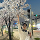 고요하이요