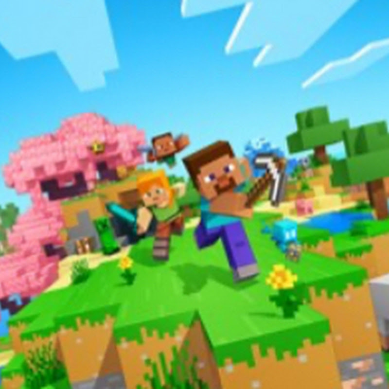 The professional pork chops 