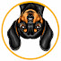 V7NUEOple4U-channel-avatar-Sausage Dog