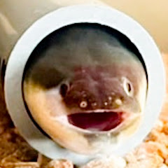 うな重とハヤテ号アイコン画像