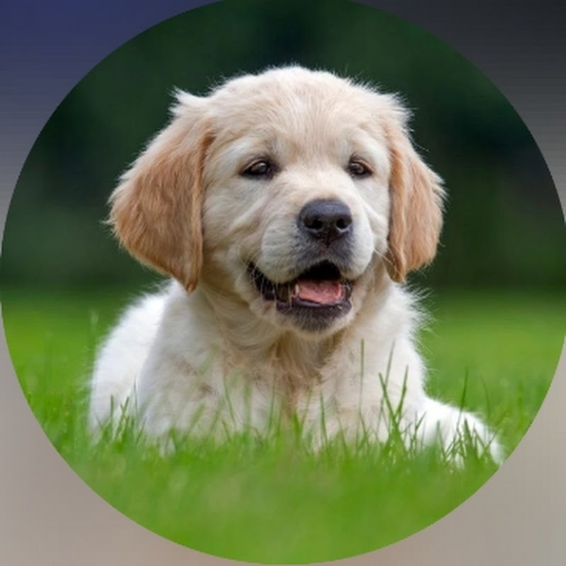 Excellent use of time and free will