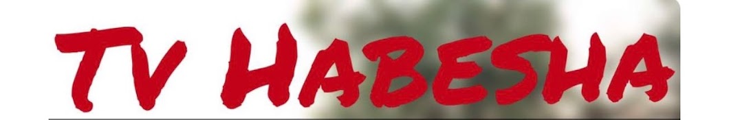 TV Habesha YouTube channel avatar