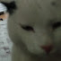 lJpLkmJdErg-channel-avatar-Eski Kanal
