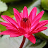 iyAF-2Vl3Sg-channel-avatar-DS BUDDHIST OFFICIAL