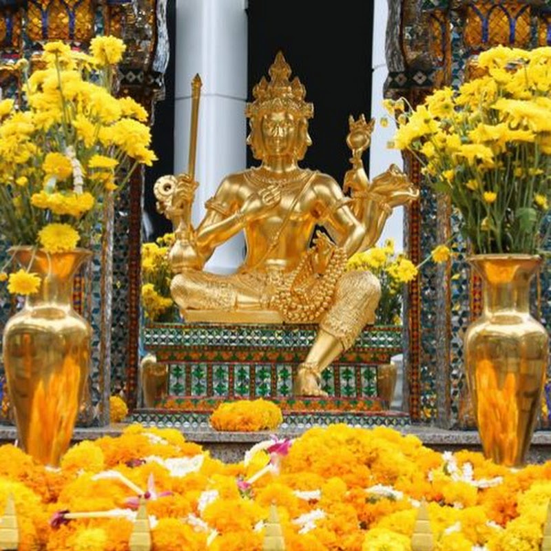 Tiệm Phép Tô Gia SG - Vua Bùa Ngải Group