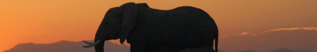 AmboseliTrust Avatar del canal de YouTube