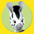 pP5XZZ1rObQ-channel-avatar-Zeo auf Deutsch