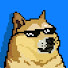 q1QMWNNvwdM-channel-avatar-Dogeyy 