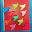 @Sajjadalvisweet14 Avatar