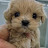 @이승철-h7m
