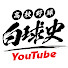 LG63vJf90VY-channel-avatar-白球史