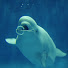 XqrlJOxQ6sM-channel-avatar-しまね海洋館アクアス　aquas shimane aquarium