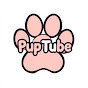 PupTube 🐾️ logo