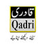 clECjyCmZ4o-channel-avatar-Qadri Sound and Video