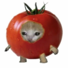 日々の小さな幸せに感謝を込めて生活をする