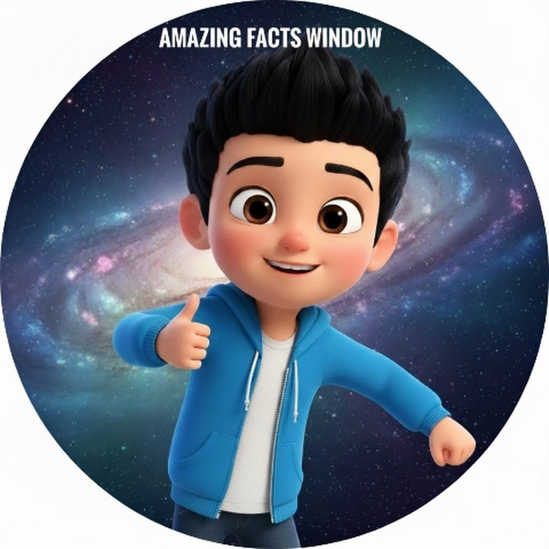 Amazing Facts Window 