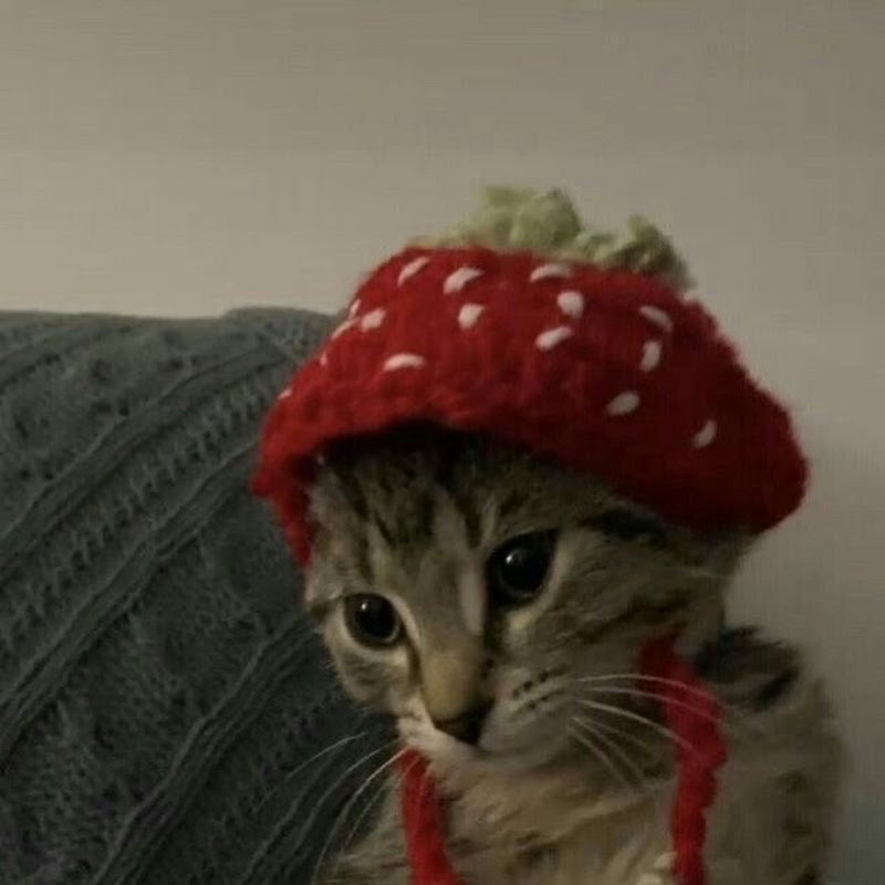 Strawberry☆
