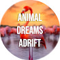 Animal Dreams Adrift