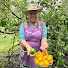 RNFcp1c4Meg-channel-avatar-Así se Cocina en el Rancho