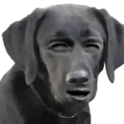 хзз_ᴡɪᴡʏ