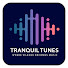wzYBOi8K2SE-channel-avatar-Tranquil Tunes