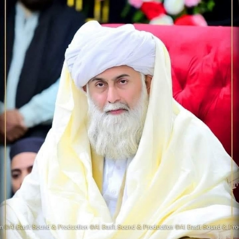 Hire Hafiz gulam Muhamoodi   qadri — Cat Care & Behaviour YouTube creator for sponsorships