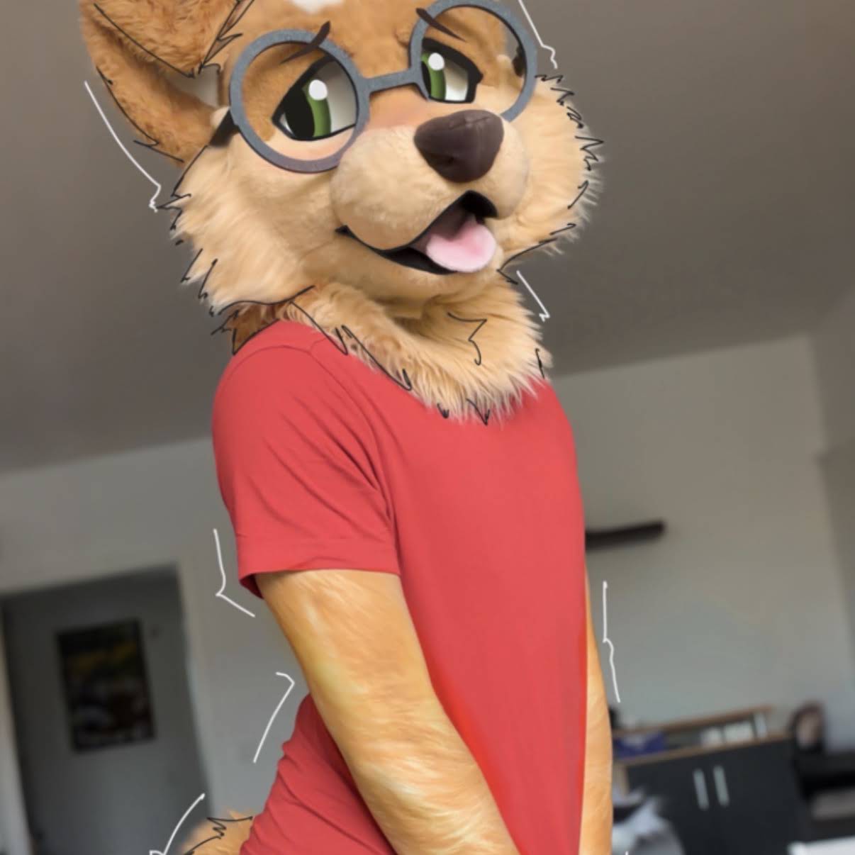 Post from Max Fluffy