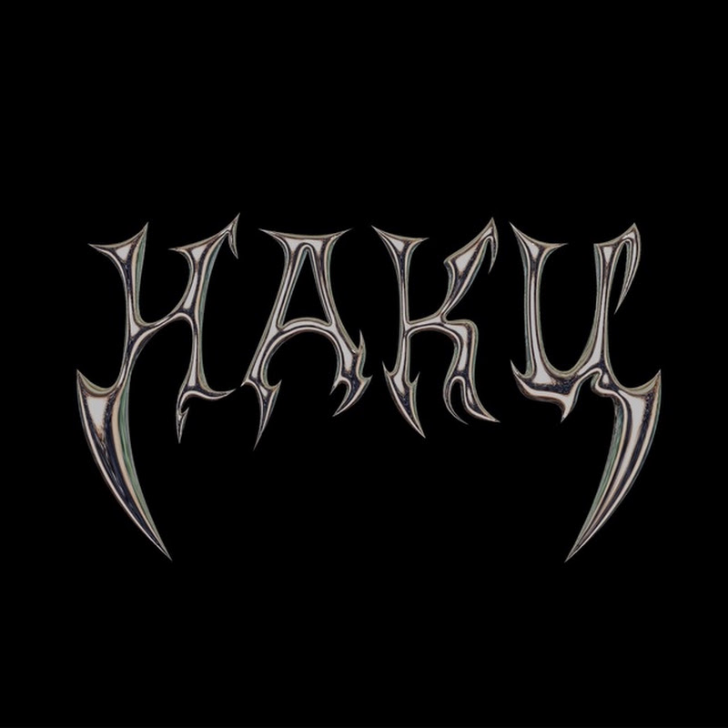 HakuTeam