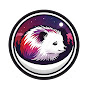 Dfw0MYkkOYk-channel-avatar-The Chill Hedgehog