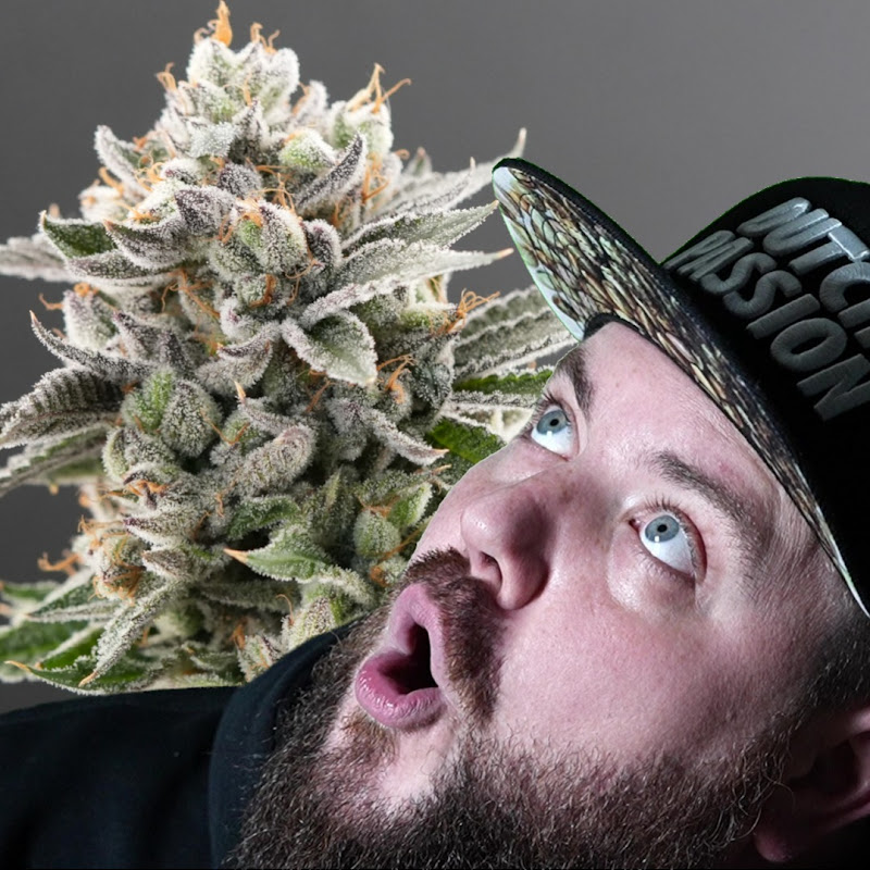 Papa Ganja