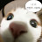 @김응수-y5t