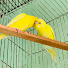 i2TZPj9daFY-channel-avatar-Bird Nest TV