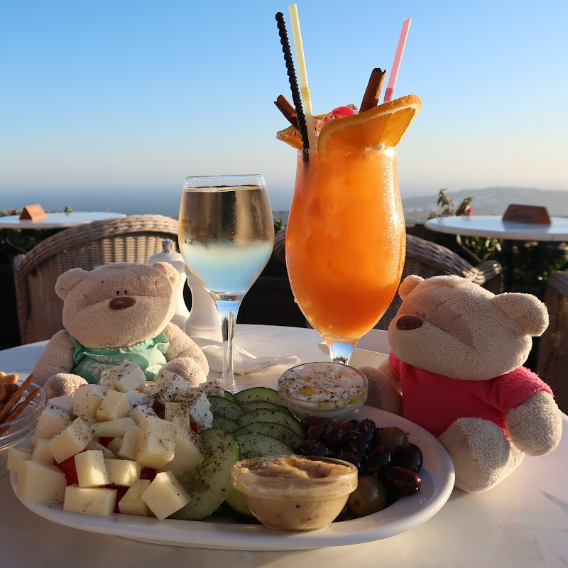 Travel Everywhere with 2bearbear 🐻🐻