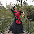 EJwm_lJnYdU-channel-avatar-Flamenco con Sandra Bonal