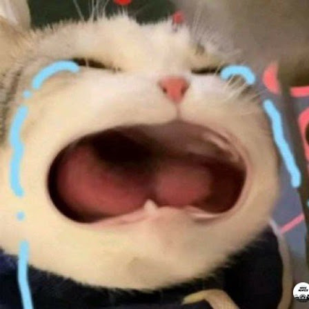 jingggxd