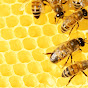 The Buzzing Hive logo