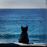 NDXjvgkeGkE-channel-avatar-Blue Calm