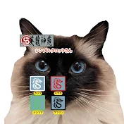 占断魔法:復活のシンプルタロットさん