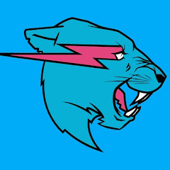 M.r.Beast.24