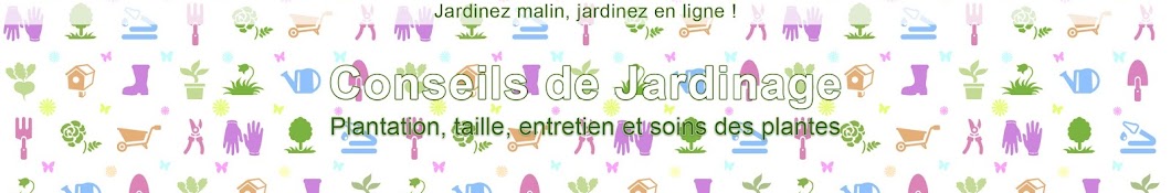 Jardinerie PLANFOR YouTube 频道头像