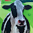 @Jim-u8e-t2x