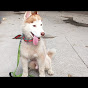 animal lover s7