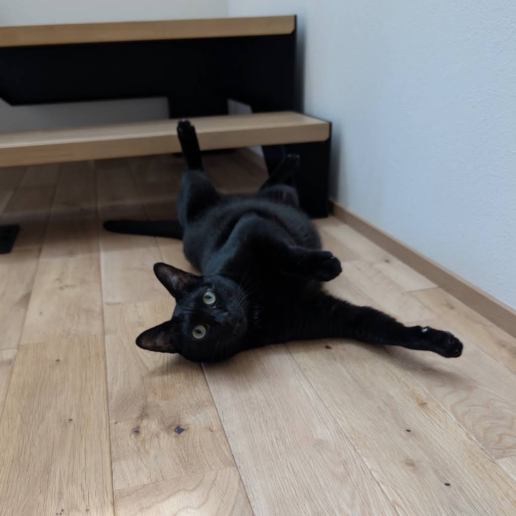 まかあこです 色々な意味でまさかのラストに大騒ぎwwwまこあこ14歳の誕生日