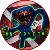 Mr.pokegoo