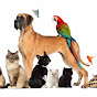 TickTack Pet Stories logo