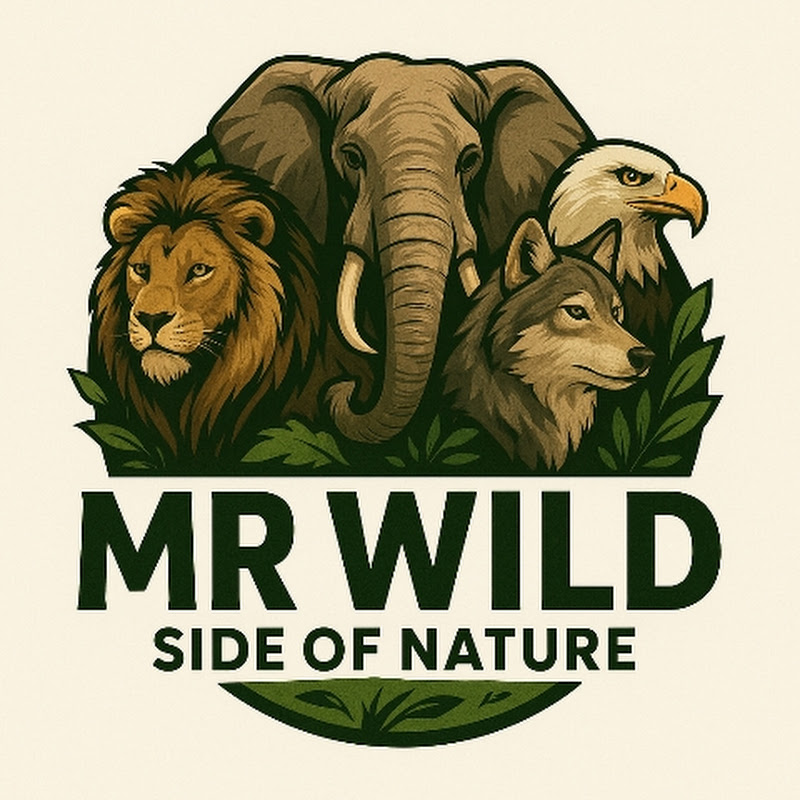 Mr Wild Side of Nature