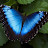 @Butterfly-ph7lj