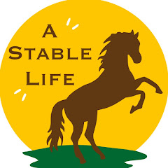 A Stable Life net worth
