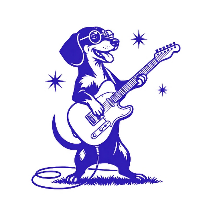 Gitarisatie • Jan-Jaap Tanis icon