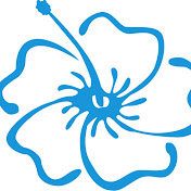 Hawaii Parkinson Association